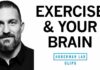How Exercise Affects the Brain and Learning | Dr. Andrew