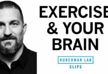 Fear Dementia? A Simple Routine Can Help How Exercise Affects the Brain and Learning | Dr. Andrew