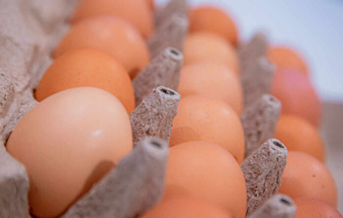 Close-up of a carton filled with brown eggs