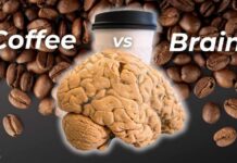 Do You Know What Coffee Does to Your Brain | Institute of