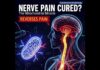 Major Pain Treatment REVOLUTION – No Pills! Fixing the Root Cause of Chronic Nerve Pain—By Replacing Damaged Cell Batteries