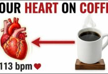 Coffee Surprising Blood Pressure Rollercoaster What Happens to Your Heart When You Drink Coffee Every Day