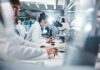 Scientists working in a laboratory with microscopes and test tubes