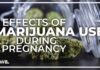 Cannabis use during pregnancy could impact baby's brain development, study shows