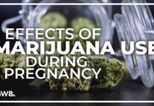 Prenatal Cannabis Exposure: Baby Brains Rewired? Cannabis use during pregnancy could impact baby's brain development, study shows