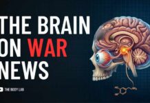 Why Humans Are Curious About War News | The Body Lab