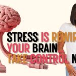 How Stress Impacts Your Brain, Memory & Decision-Making