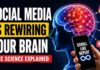 The Dopamine Trap: How Social Media Hacks Your Brain