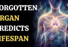 Hidden Organ Could Reveal How Long You Live | WION Podcast