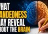What Handedness May Reveal About the Brain