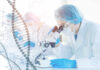Scientist examining samples under a microscope in a laboratory