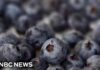 FDA upgrades frozen berry recall to highest risk level