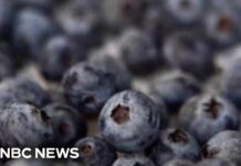 FDA upgrades frozen berry recall to highest risk level