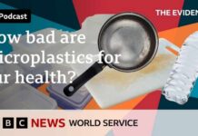 Are microplastics affecting our health? - The Evidence podcast, BBC World Service
