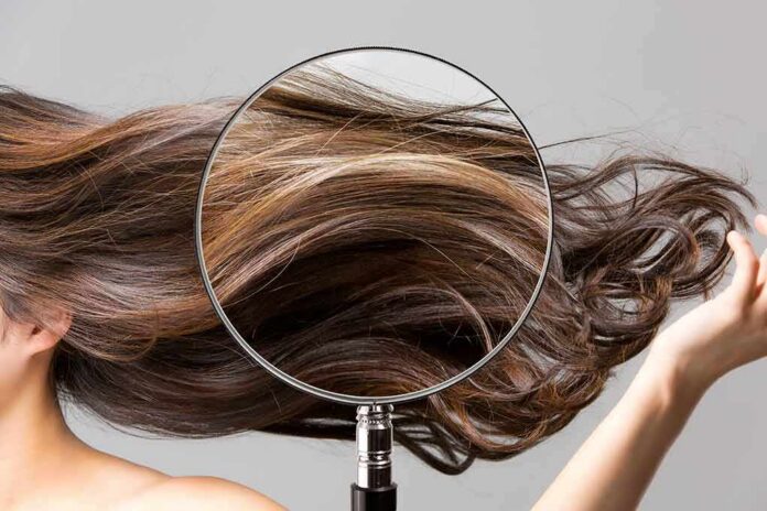 shutterstock_1743835547 Magnifying glass highlighting long brown hair