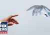 CHILLING warning issued on 'uncontrollable' AI: This is the RED LINE
