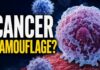 High Blood Sugar and Cancer Camouflage