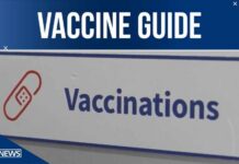 Top doctors offer fall vaccine guide