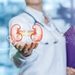Foods That Strain Your Kidneys Quietly Doctor holding digital illustration of human kidneys