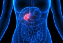 Silent Killer: The Pancreatic Cancer Signs Most Miss Human torso anatomy highlighting the gallbladder