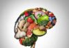 Brain shape made of assorted healthy foods on white background