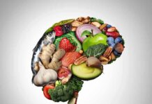 Shocking Ways to Avoid Microplastics in Your Brain Brain shape made of assorted healthy foods on white background