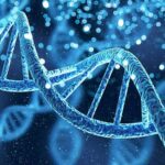Wheelchair To Walk: Custom Gene Hack Stuns DNA double helix with glowing particles