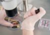 Gloved hands manipulating samples under a microscope in a petri dish