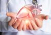 5 Surprising Ways You May Be Harming Your Heart Hands holding a digital heart model